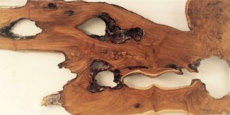 Salvaged Teak From A Forest Fire Encased in Clear